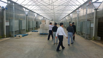 中盛永基食用菌產品全解析 最新展示與專業展覽服務